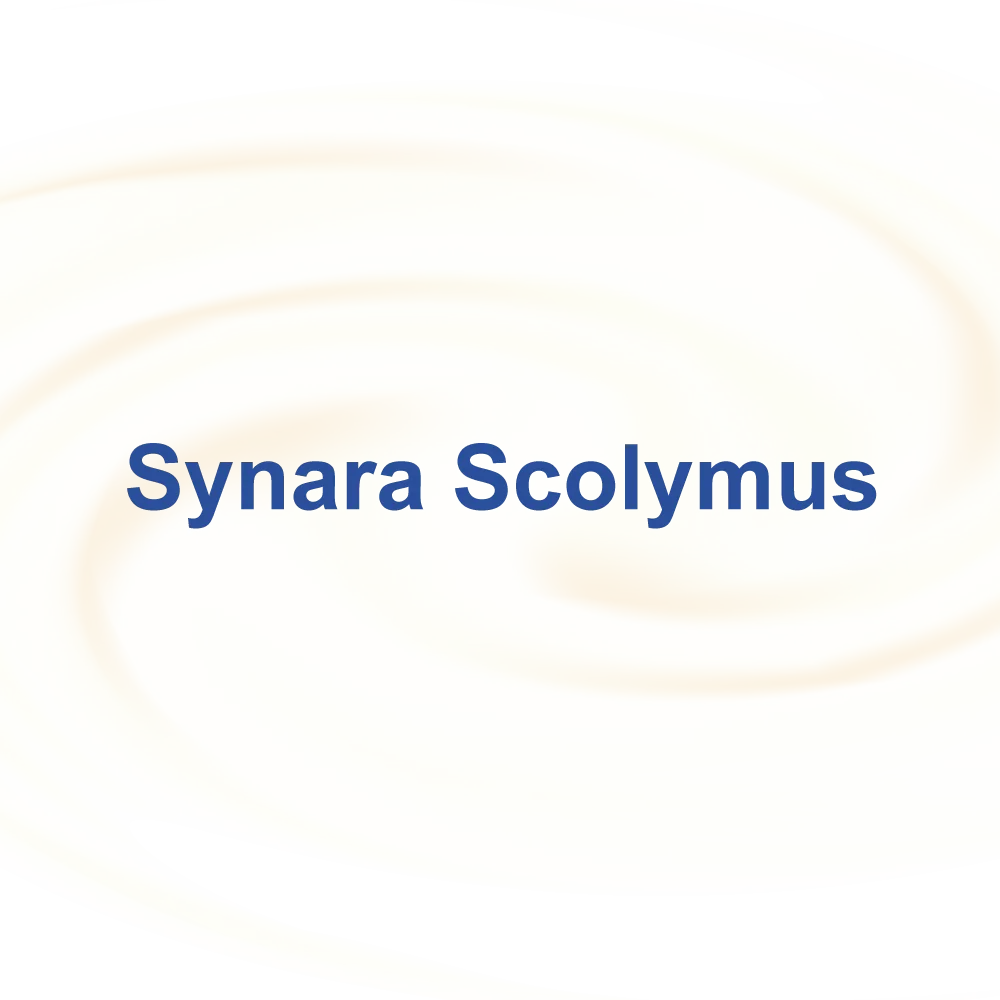 Cynara scolymus